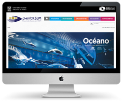 Universum